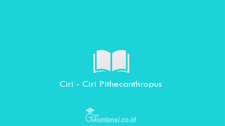 Ciri-Ciri-Pithecanthropus