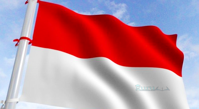 Contoh-Bendera-Indonesia
