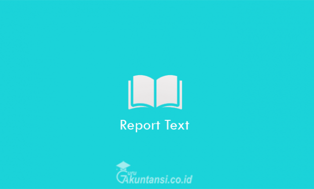 Report-Text