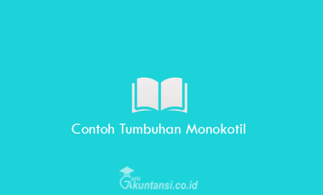 Contoh-Tumbuhan-Monokotil