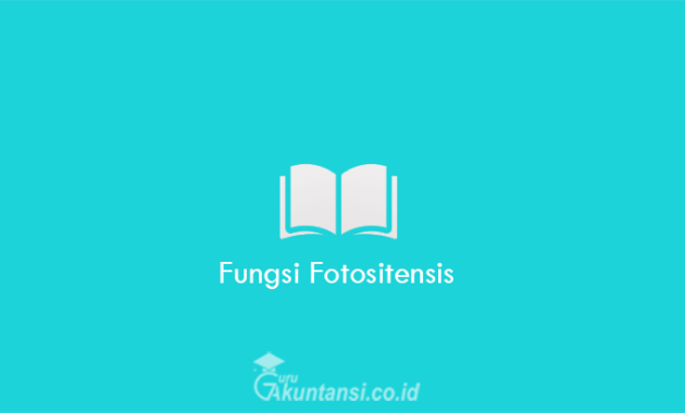 Fungsi-Fotositensis
