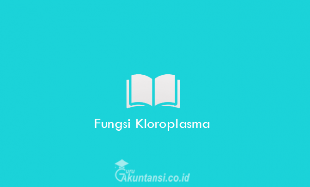 Fungsi-Kloroplasma