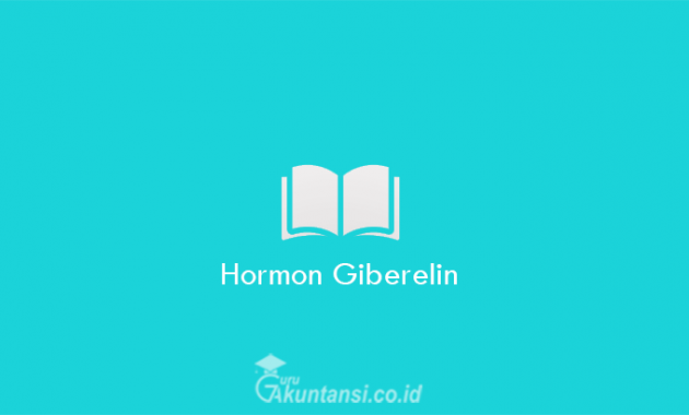 Hormon-Giberelin