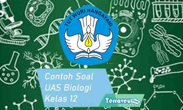 Contoh Soal UAS Biologi Kelas 12 SMA MA dan Kunci Jawabnya Lengkap