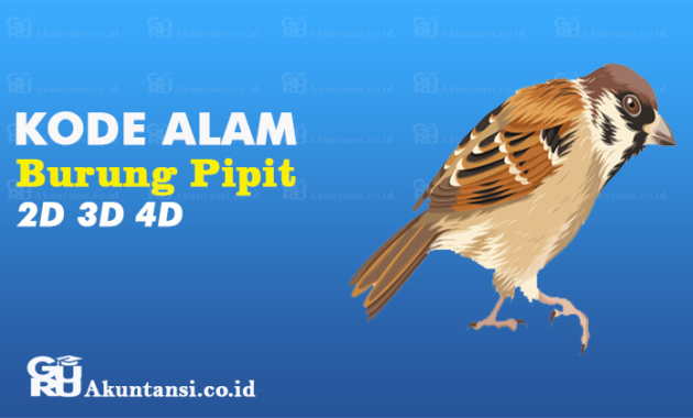 Kode Alam Burung Pipit 2D 3D 4D