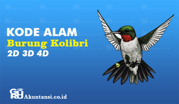 kode alam burung kolibri